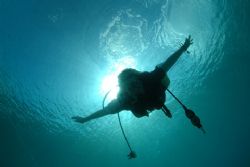 Diver, Grand Cayman. by David Heidemann 